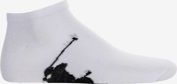 Polo Ralph Lauren Socken in Mischfarben