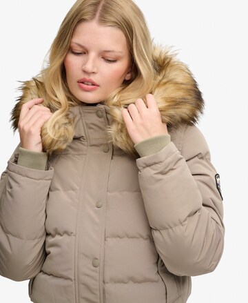 Superdry & Co Winter Jacket 'Everest' in Brown