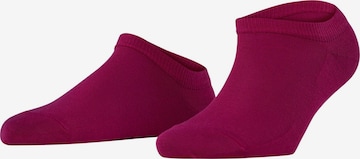 FALKE Füßlinge 'Active Breeze' in Lila: Vorderseite