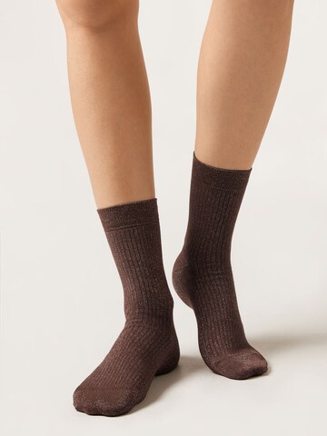 CALZEDONIA Socks in Brown: front