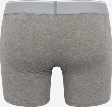 DIESEL Boxer shorts 'Sebastian' in Grey