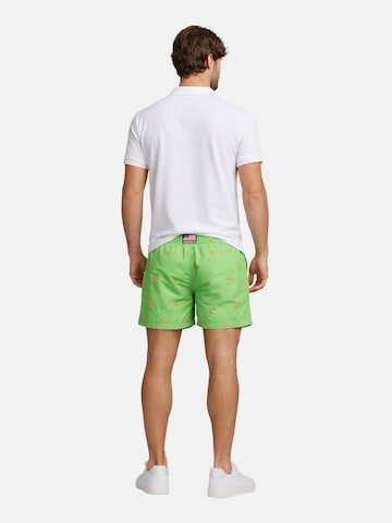 Shorts de bain U.S. POLO ASSN. en vert