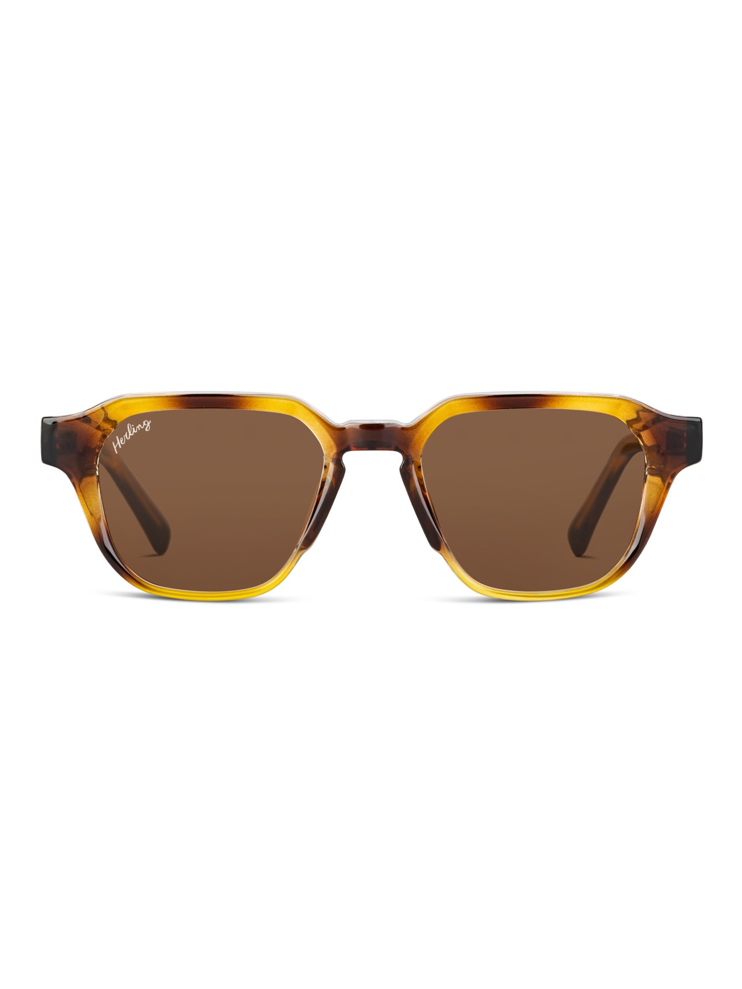 Herling Sunglasses 'Zane Sun' in Brown