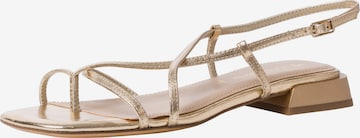 TAMARIS Strap sandal in Gold: front