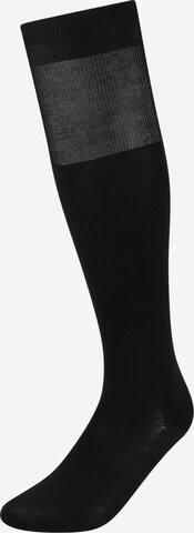 BOSS - Calcetines hasta la rodilla 'George' en negro: frente