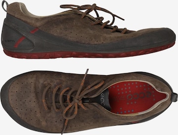 ECCO Sneaker 43 in Braun: Vorderseite