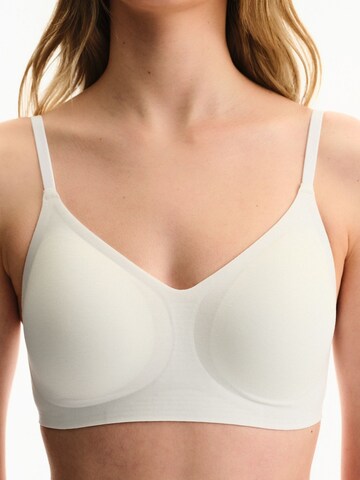 Bustino Reggiseno 'BHs & Bralettes' di Penti in marrone