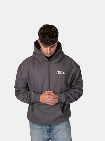 Crystal Paris Sweatshirt 'Wolf' in Grey