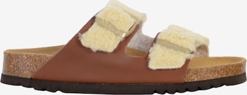 SCHOLL Pantolette in Beige: Vorderseite