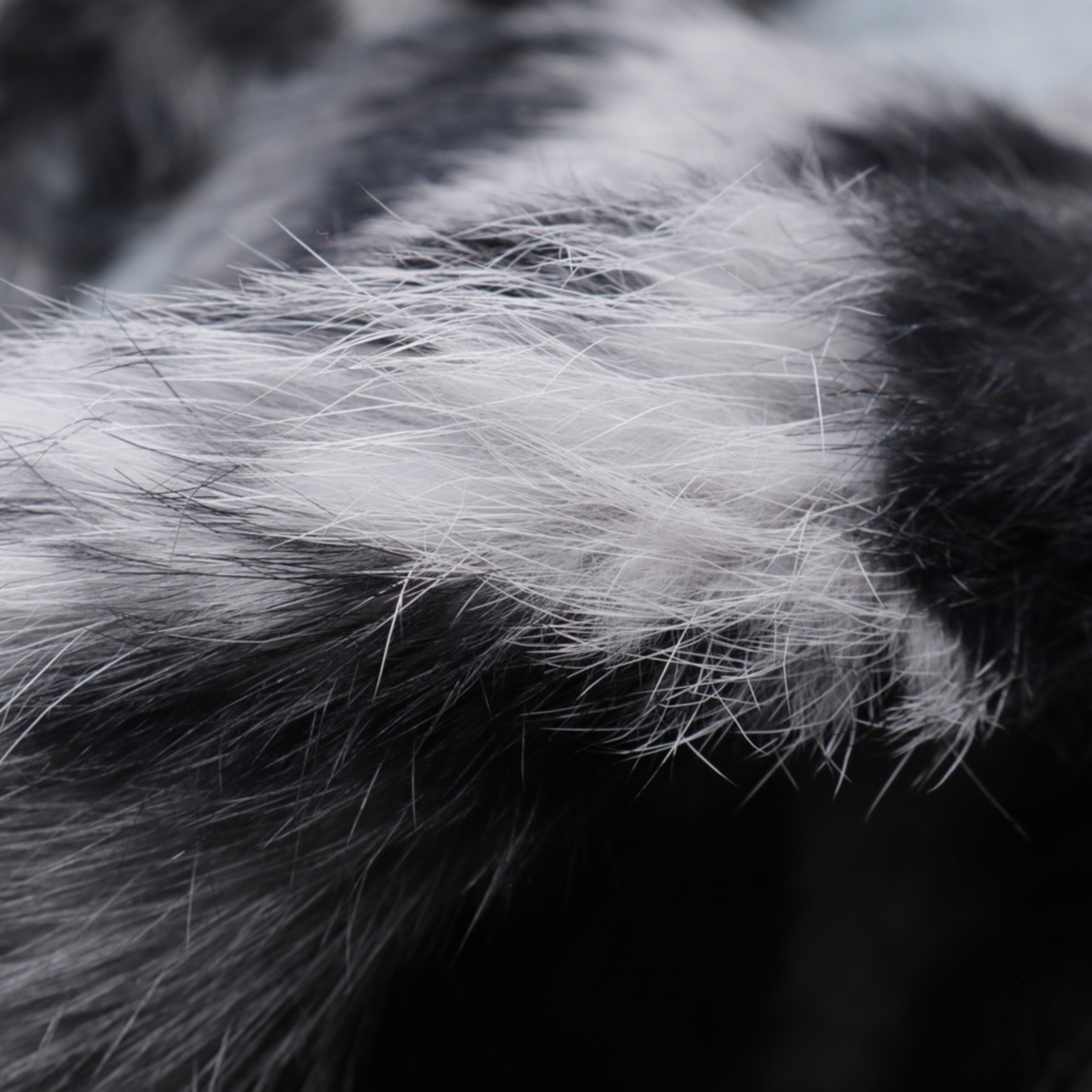 Utzon Jacket & Coat in M in Grey