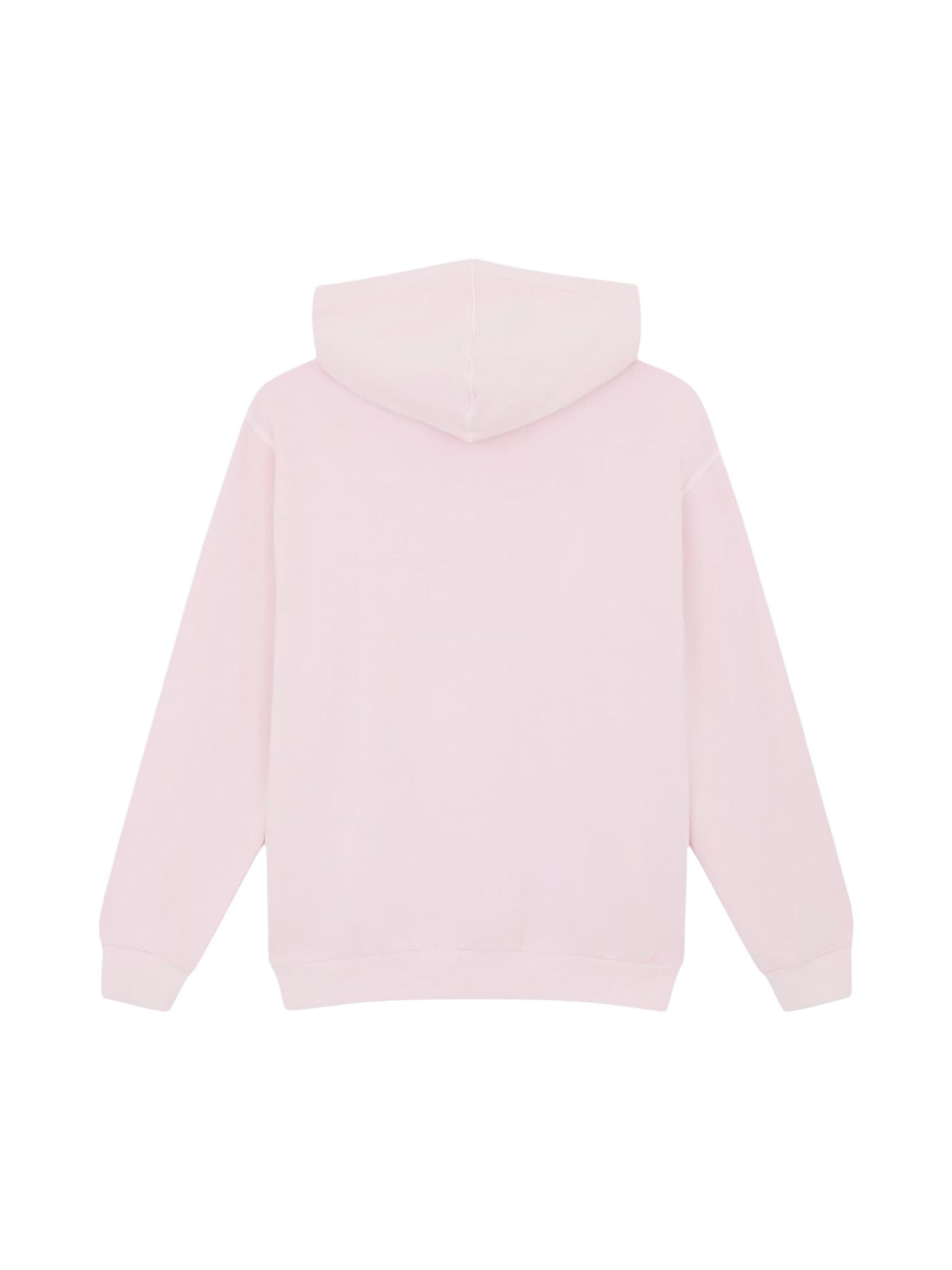 DICKIES Sweatshirt 'Slayden Garment' in Orange