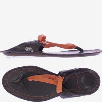 LACOSTE Sandals & High-Heeled Sandals in 39,5 in Brown: front