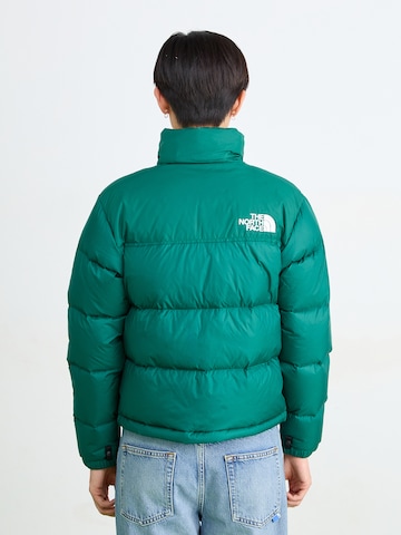 THE NORTH FACE Zimska jakna '1996 Retro Nuptse' | zelena barva