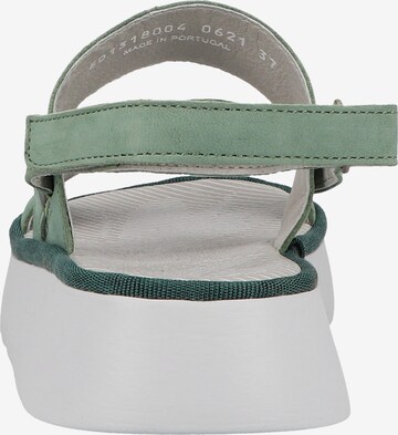 FLY LONDON Strap Sandals in Green