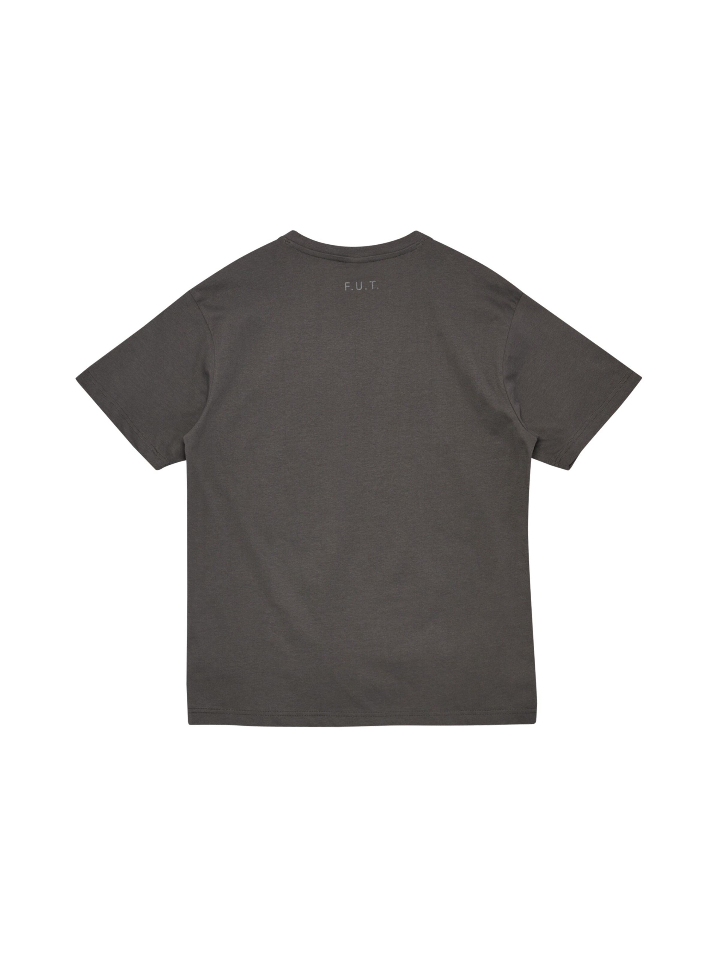 HALO Shirt 'Essential' in Grey