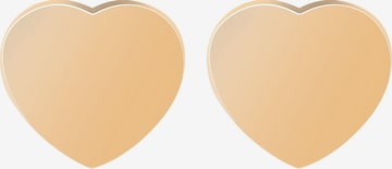 Akzent Earrings 'Nessi, hautverträglich' in Gold: front