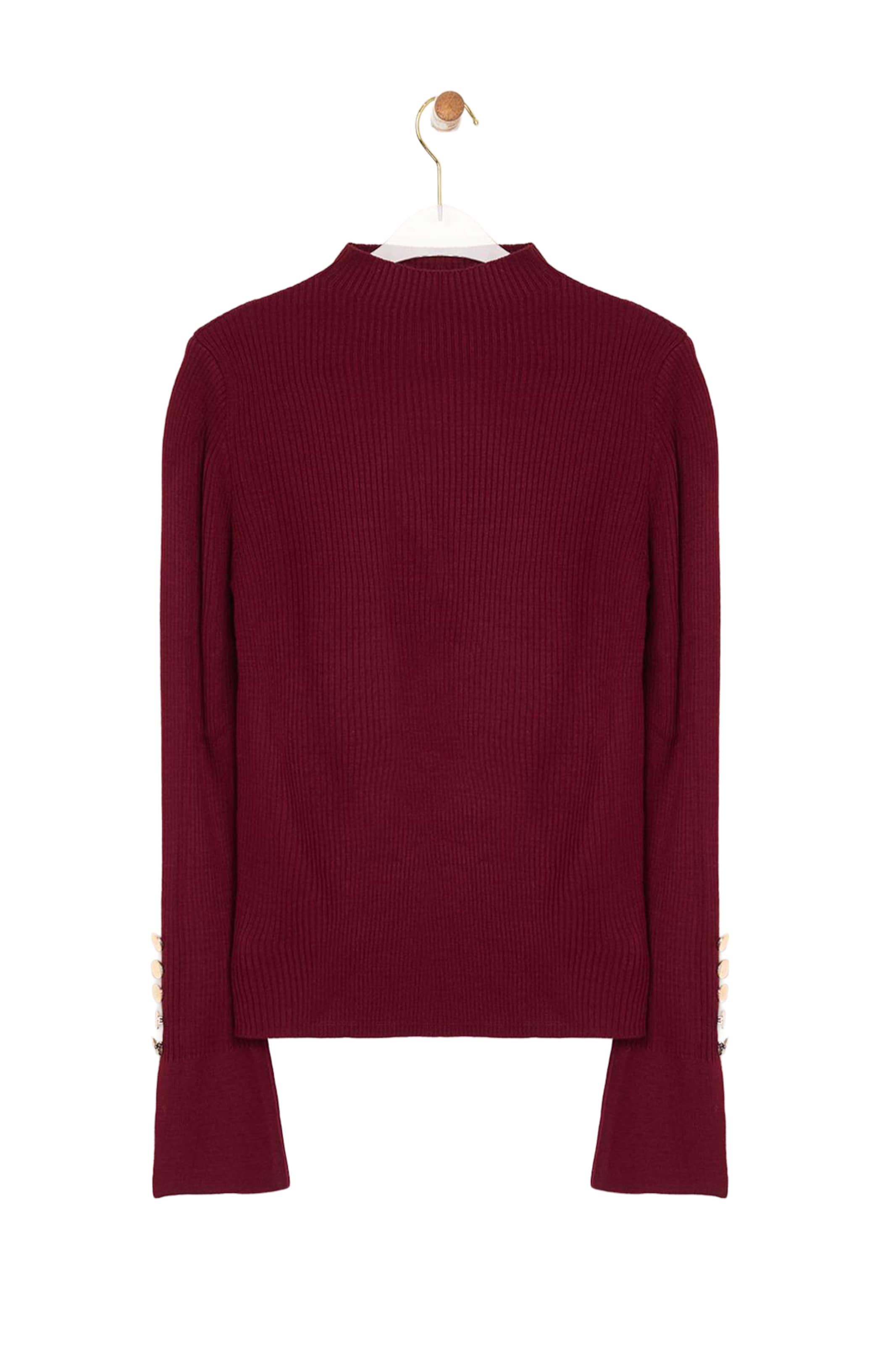 Trendyol Pullover in Rot: Vorderseite