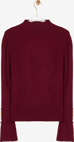 Trendyol Pullover in Rot: Vorderseite