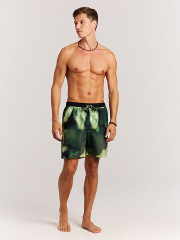 PROTEST Badeshorts 'PRTFligth'‌‌‌‌‌‌‌‌‌ in Grün