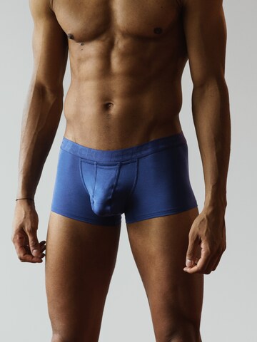 pckd – underwear done right. Boxer shorts 'Boxer Trunks' in Blue: front