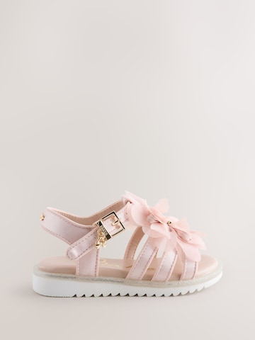 Baker by Ted Baker Sandalen in Roze