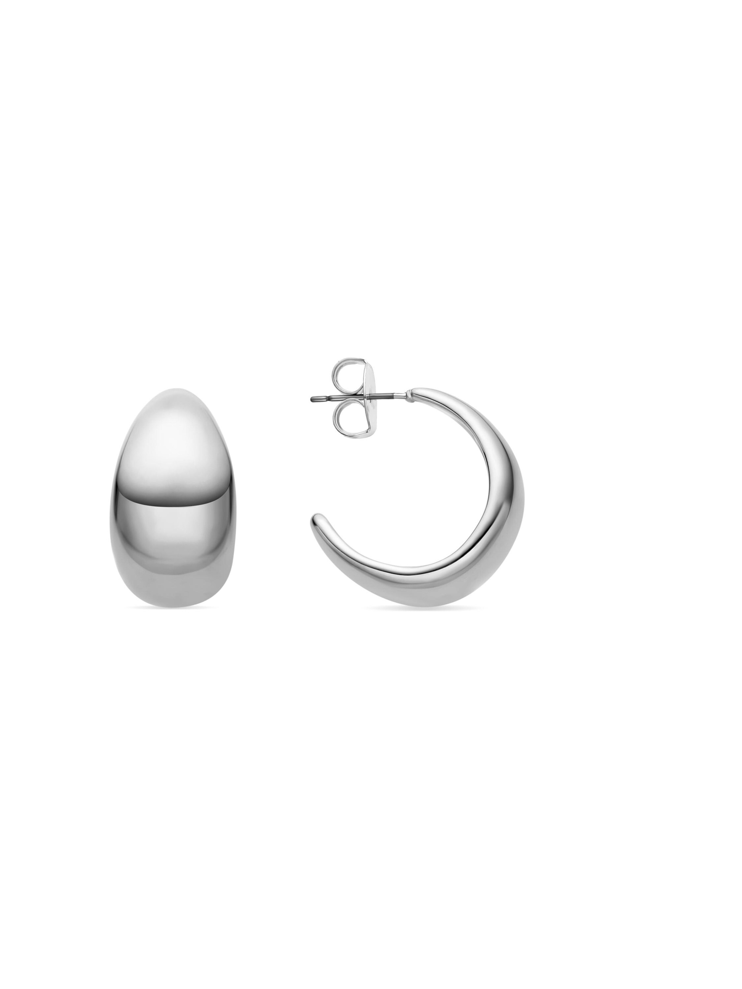 Luxenter Oorbellen 'Wanisdi' in Zilver: voorkant