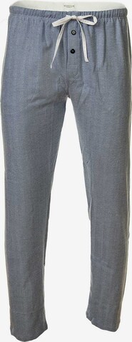 NOVILA Tapered Pants in Grey: front