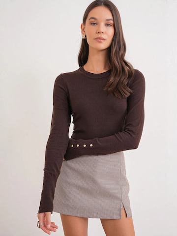 MixRay Sweater in Brown
