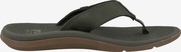 REEF T-Bar Sandals 'Santa Ana' in Green