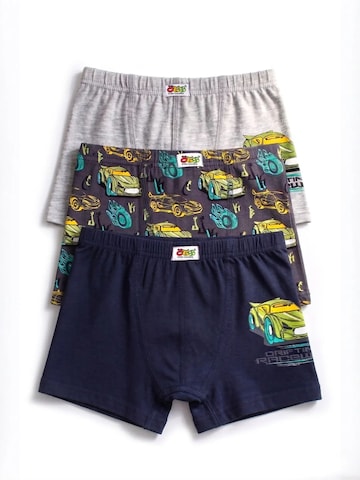 ÖTS Underpants 'ÖTS Herren Boxerbriefs' in Mixed colours: front