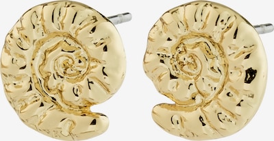 Auskaras ' Haze ' iš Pilgrim, spalva – Auksas, Prekių apžvalga