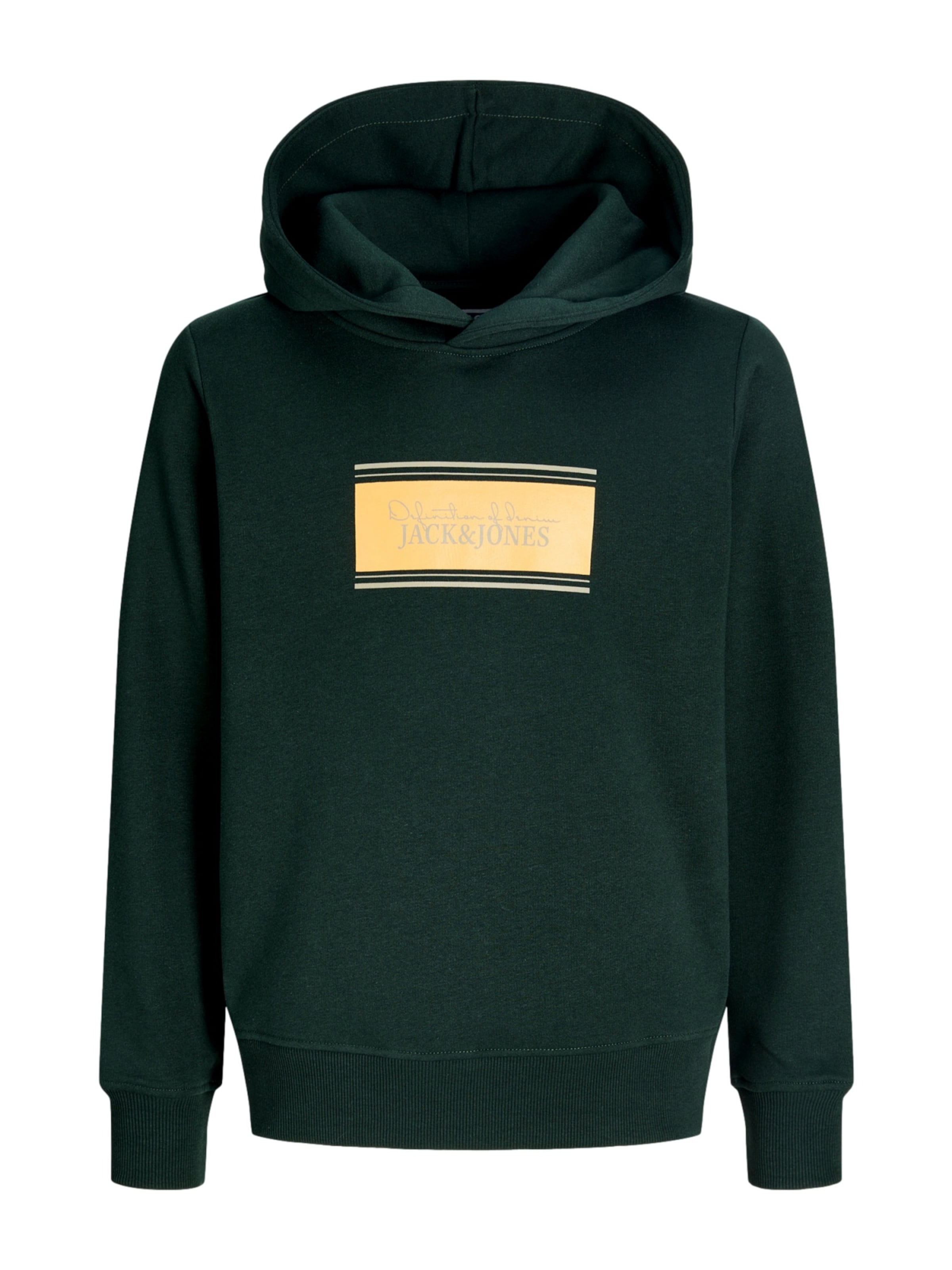 Jack & Jones Junior Sweatshirt 'JJBuster' i grön: framsida