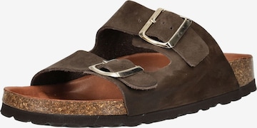 COSMOS COMFORT Mule in Brown: front