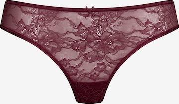 Mey String 'Fabulous' in Purple: front