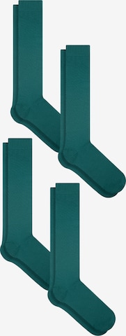 Albero Natur Knee High Socks in Green: front