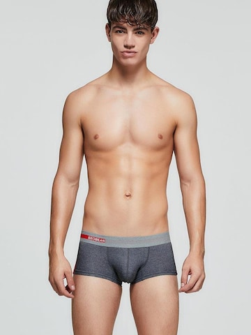 SEOBEAN Boxershorts in Grau: Vorderseite