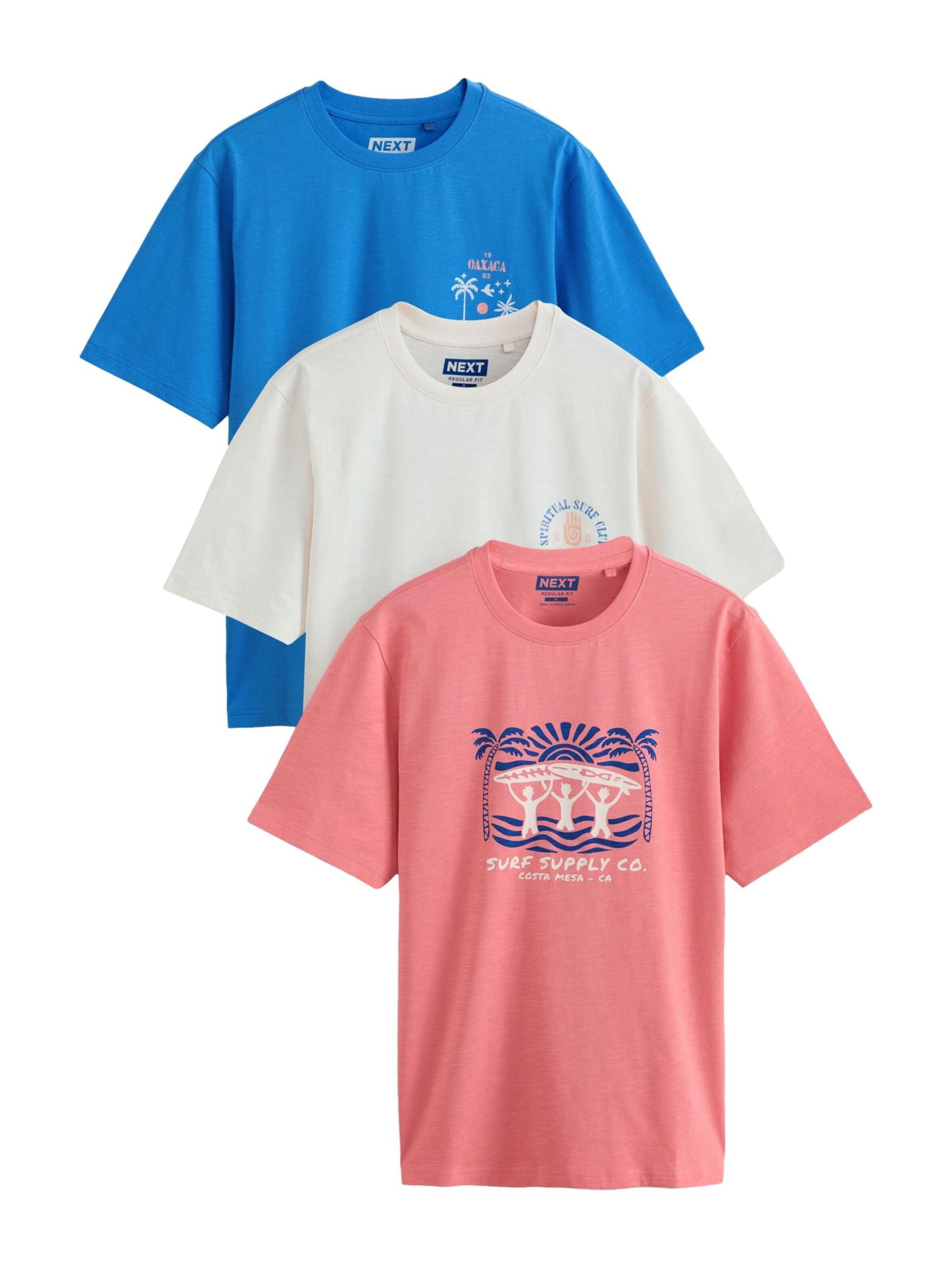 Next Shirt in Mixed colours: front