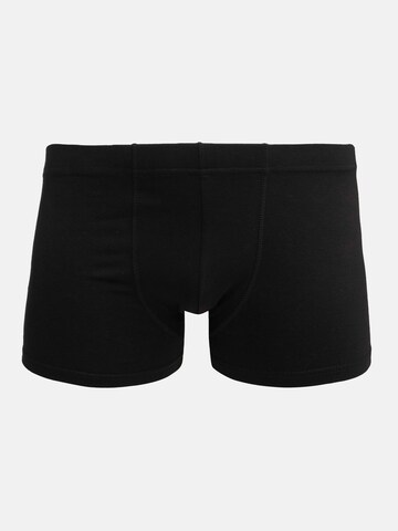 Tazzio Boxershorts 'BS1003' in Mischfarben