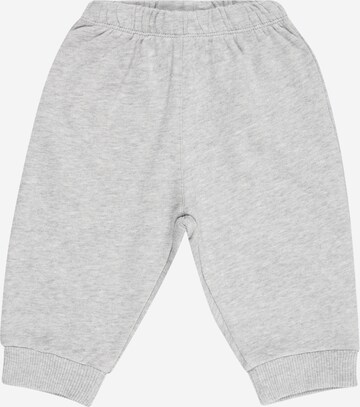 Effilé Pantalon KNOT en gris : devant