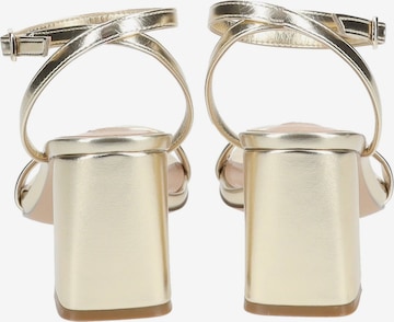 STEVE MADDEN Sandalen met riem in Goud