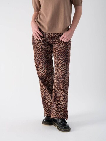 MND Regular Pants in Brown: front