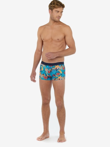 HOM Boxer shorts 'Liam' in Blue
