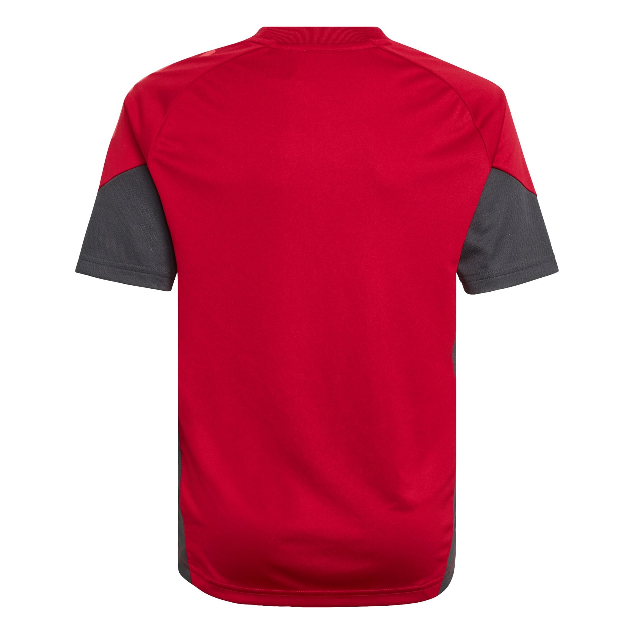 Maglia funzionale 'FC Liverpool Tiro 25 Competition' di ADIDAS PERFORMANCE in rosso