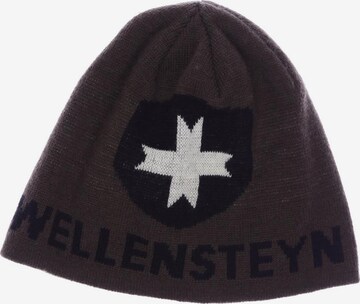 Wellensteyn Hut oder Mütze One Size in Braun: predná strana
