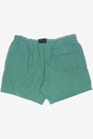 LACOSTE Shorts in 38 in Green