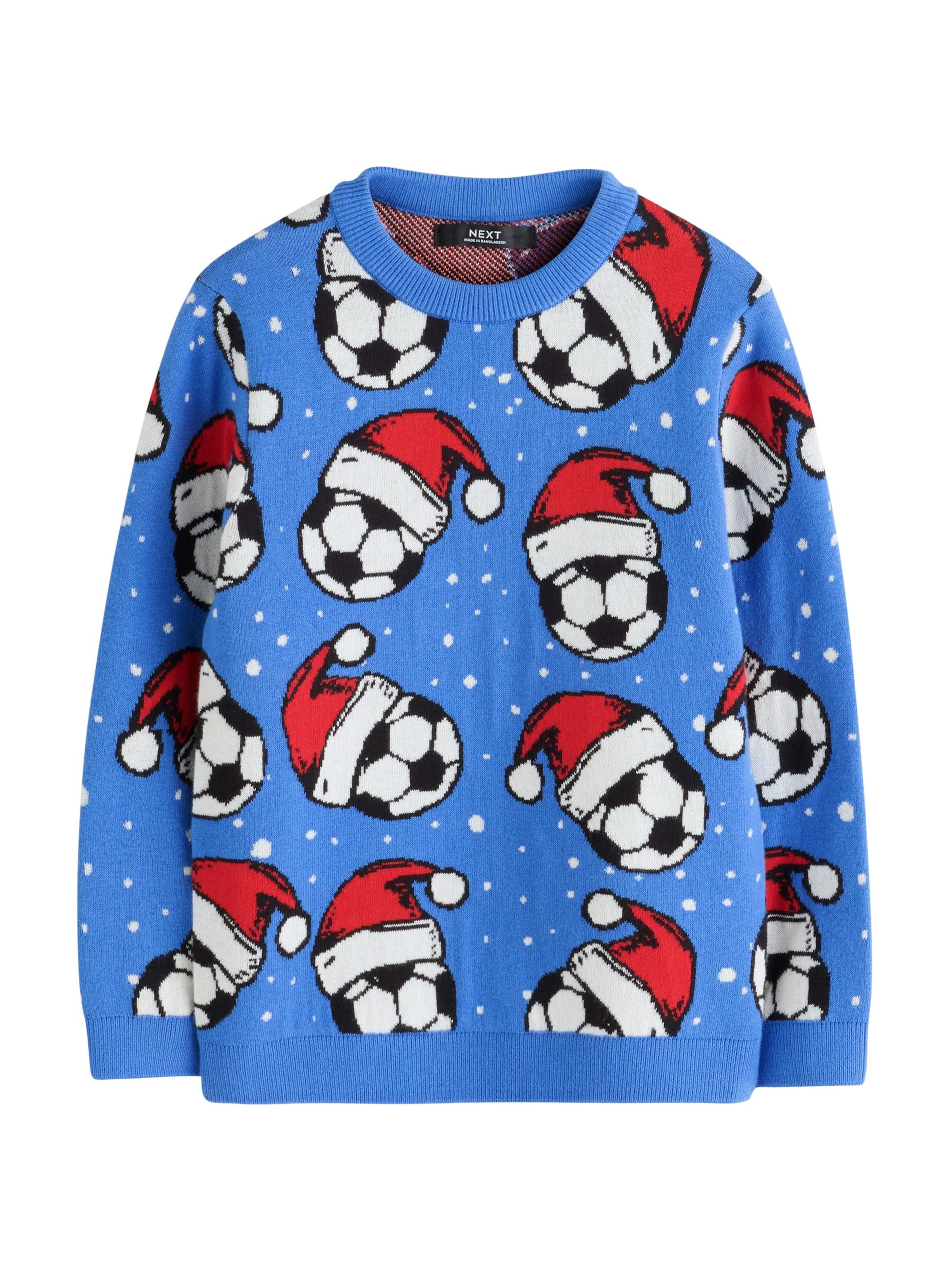 Next Sweater in Blue: front