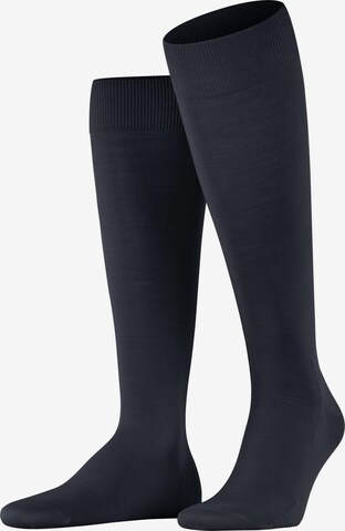 FALKE Kniestrümpfe 'ClimaWool' in Blau: Vorderseite