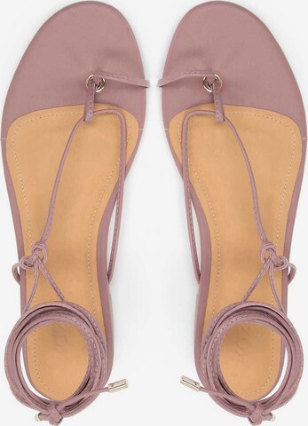 Kazar T-Bar Sandals in Purple