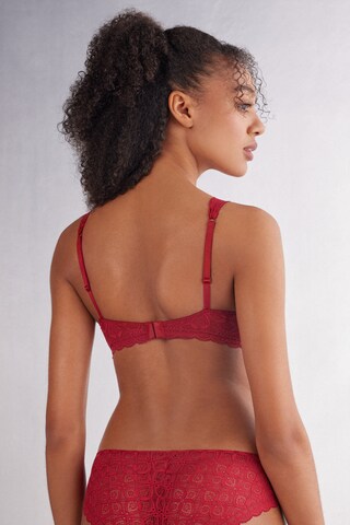 INTIMISSIMI T-shirt Bra in Red: front