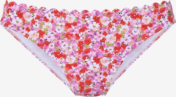 LASCANABikini donji dio - roza boja: prednji dio